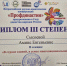 Всероссийская конференция «Профдинастии» - Шемышейский район