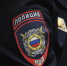 В Ленобласти задержали подозреваемого в нападении на четырех человек - Spbdnevnik.ru