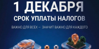 Плати налоги — активируй спокойствие - Городской округ Ступино