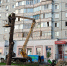 Фото: "Горзеленстрой" - Администрация г.Череповец