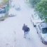 Скриншот видео: объединённая пресс-служба судов Петербурга - Мой район