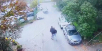 Скриншот видео: объединённая пресс-служба судов Петербурга - Мой район