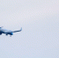 Пассажирка Flydubai показала видео после нападения на борту - MosRegToday.Ru