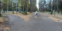 В парке ЛПК Нововятского района сделают центральную аллею - Newsler.Ru