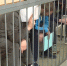 В Рязани начался суд над «сантехниками-бандитами»: братья обокрали пенсионеров на миллион - Комсомольская Правда