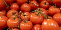 Осень ударила воронежцам промеж помидор и достала до банана - Bloknot-Voronezh.Ru