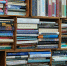 Правозащитница сообщила об уничтожении книг из колоний Ленобласти - 47 новостей