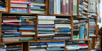 Правозащитница сообщила об уничтожении книг из колоний Ленобласти - 47 новостей
