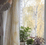 Тяжелый жаккард на окна больше не вешают: на какую ткань перешли умные хозяйки ради уюта - Pg12.Ru