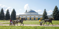 В Бобровском районе отметили 250-летие Хреновского конного завода - Правительство Воронежской области