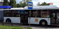 В Воронеже будут бороться с «зайцами» в автобусах после повышения стоимости проезда - TV-Gubernia.Ru
