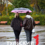 Туляков предупредили о скрытой опасности осенних фотосессий с листвой - ТК Первый Тульский