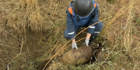 В Крыму уничтожили три взрывоопасных предмета - Vesti-Sevastopol.Ru