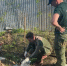 Мэрия Волгограда заплатит 303 тыс. рублей за излив стоков из канализации - ИА Высота 102.0