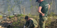 Мэрия Волгограда заплатит 303 тыс. рублей за излив стоков из канализации - ИА Высота 102.0