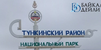 В курортном районе Бурятии не унимаются медведи - ИА Байкал-Daily