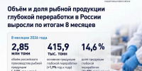 фото: АСРФ |  Сурими в пролете, филе в полете. В России случился рыбный сдвиг - Деловой еженедельник Конкурент