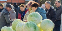 3 октября лениногорцы смогут побывать на первой ярмарке с дарами осени - Лениногорские вести