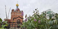 В центре Омска в октябре зацвела сирень - Вечерний Омск
