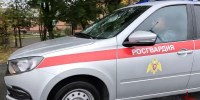 Росгвардия продолжает оказывать содействие городу Абаза по стабилизации обстановки из-за выходов медведей - Росгвардия