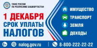 1 декабря – срок уплаты налогов (имущество, транспорт, земля, доходы) - Ермекеевский район
