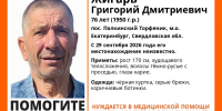 В посёлке Палкинский Торфяник пропал 76-летний пенсионер - ИА Уральский меридиан