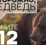 Памятка для жителей Уярского района: что делать при встрече с медведем.. - Уярский район