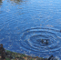 Первые почти морозные выходные осени - Kirov.Online