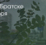 Поделитья во ВКонтакте - Братская Студия Телевидения