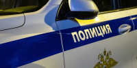 В Красноярске застрелили агрессивного медведя, который ломал яблоню на участке - Комсомольская Правда