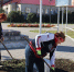 На бульваре Озерки проведён субботник. - Исилькульский район