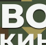 В кинозале "НЕОН" был дан старт новому проекту - «СВОи в кино». - Администрация МО Курчатов