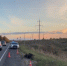 Водитель легковушки пострадал в ДТП из-за лося в Нижегородской области - фото 1 - vGorodeN.Ru