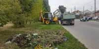 Более 8 тысяч барнаульцев приняли участие в первом «Чистом четверге» - Администрация г. Барнаул