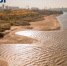 Маловодье ожидается в устье Дона - Bloknot-Rostov.Ru