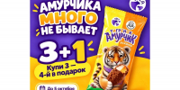 Тематическая иллюстрация Фабрика мороженого &quotУРСА&quot - AmurMedia.Ru