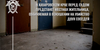 В Хабаровском крае перед судом предстанет местная жительница, обвиняемая в покушении на убийство двух соседей - Следственный комитет