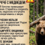 правила безопасности при встрече с медведем. - Каратузский район