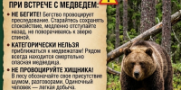правила безопасности при встрече с медведем. - Каратузский район