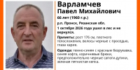 В Пронске ищут потерявшегося в лесу грибника - RyazPressa.Ru