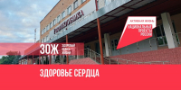 Медики Котовска присоединились к Неделе ответственного отношения к сердцу - ИА ПроКотовск