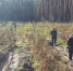 В районах Омской области высадили более 14 тысяч деревьев - 12 канал