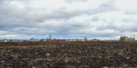 В Татарстане ввели режим ЧС из-за угрозы продовольственной безопасности - Реальное время