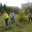 02.10.2026 г. в Куйбышеве прошел общегородской субботник - Город Куйбышев