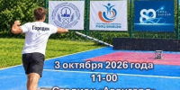 На стадионе «Авангард» пройдёт открытый турнир по городкам - Саров24