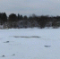Трое жителей Вельского района предстанут перед судом за убийство и похищение - КлубСМИ