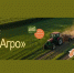 Саратовские аграрии приглашаются формировать образ будущего АПК - Комсомольская правда