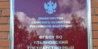 Достоинство личности в цифровую эпоху: христианские ценности перед вызовами глобальной современности - Мелекесская епархия