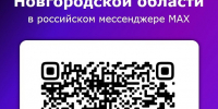 Воспользуйтесь чат-ботом МФЦ  Новгородской области - Министерство здравоохранения