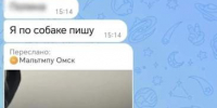 Жительница Омска обманула шестерых шарыповцев, захотевших купить щенков - Газета Красноярский рабочий